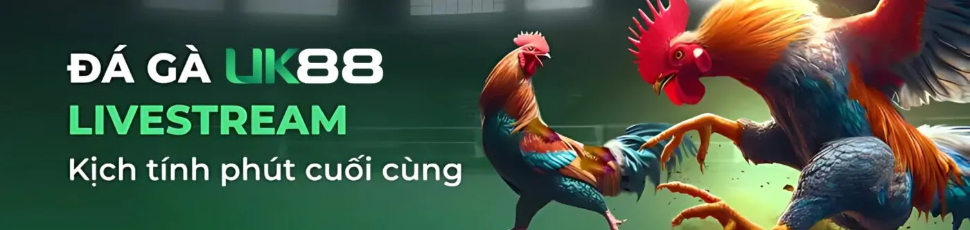 nhà cái UK88 trực tiếp đá gà Thomo CPC