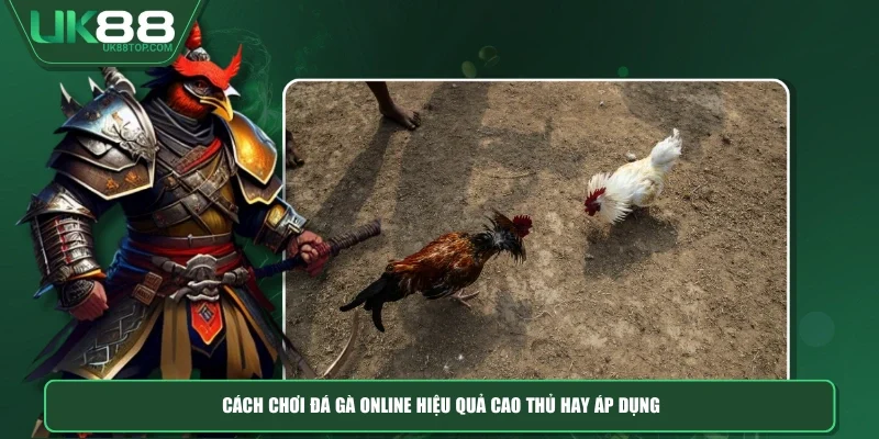 2 kiểu chơi trong trực tiếp đá gà thomo