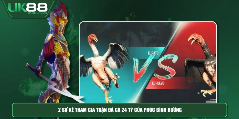 2 sự kê tham gia trận đá gà 24 tỷ của Phúc Bình Dương