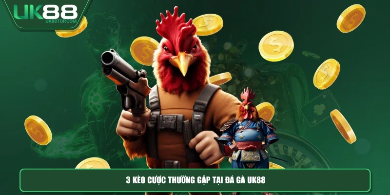 3 kèo cược thường gặp tại đá gà UK88