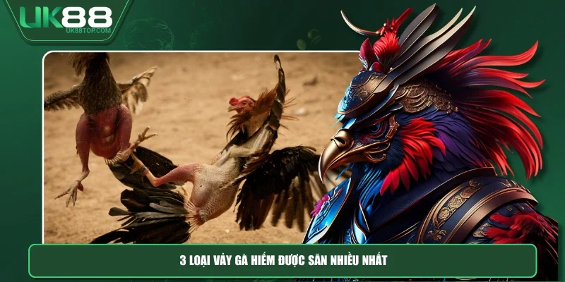 3 loại vảy gà hiếm được “săn” nhiều nhất