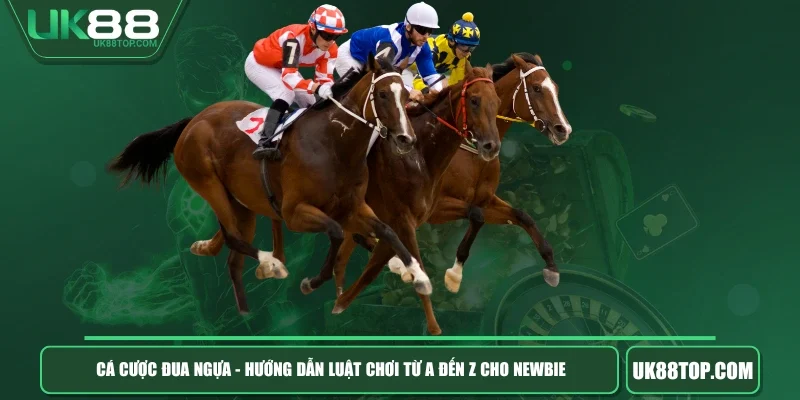 Cá Cược Đua Ngựa - Hướng Dẫn Luật Chơi Từ A Đến Z Cho Newbie