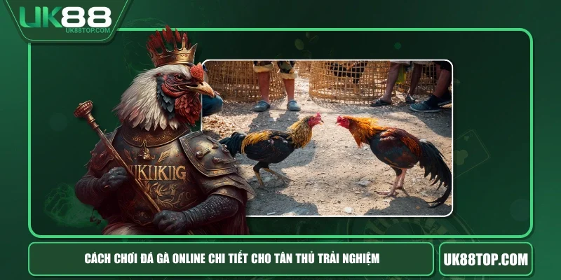 Cách Chơi Đá Gà Online Chi Tiết Cho Tân Thủ Trải Nghiệm