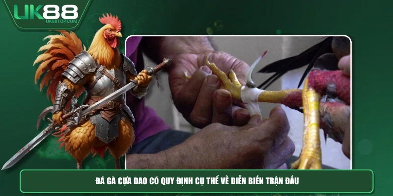 Đá gà cựa dao có quy định cụ thể về diễn biến trận đấu