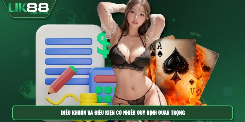 Điều khoản và điều kiện có nhiều quy định quan trọng