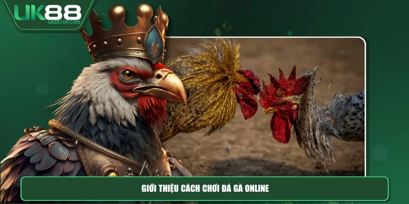 Giới thiệu cách chơi đá gà online