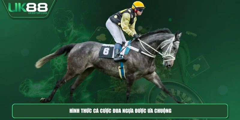 Hình thức cá cược đua ngựa được ưa chuộng