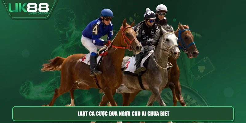 Luật cá cược đua ngựa cho ai chưa biết