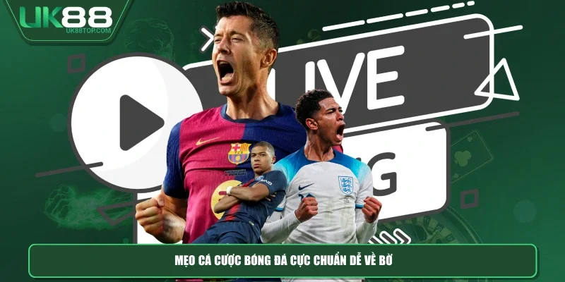 Mẹo cá cược bóng đá cực chuẩn dễ về bờ