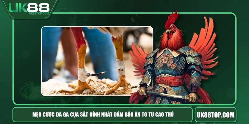 Mẹo Cược Đá Gà Cựa Sắt Đỉnh Nhất Đảm Bảo Ăn To Từ Cao Thủ