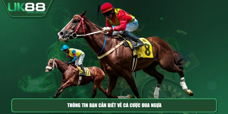 Thông tin bạn cần biết về cá cược đua ngựa