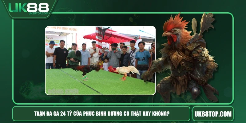 Trận Đá Gà 24 Tỷ Của Phúc Bình Dương Có Thật Hay Không?