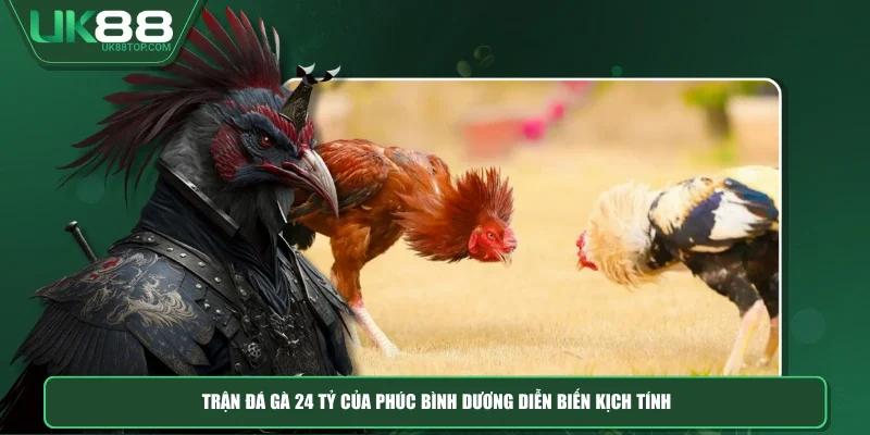 Trận đá gà 24 tỷ của Phúc Bình Dương diễn biến kịch tính