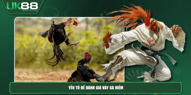 Yếu tố để đánh giá vảy gà hiếm